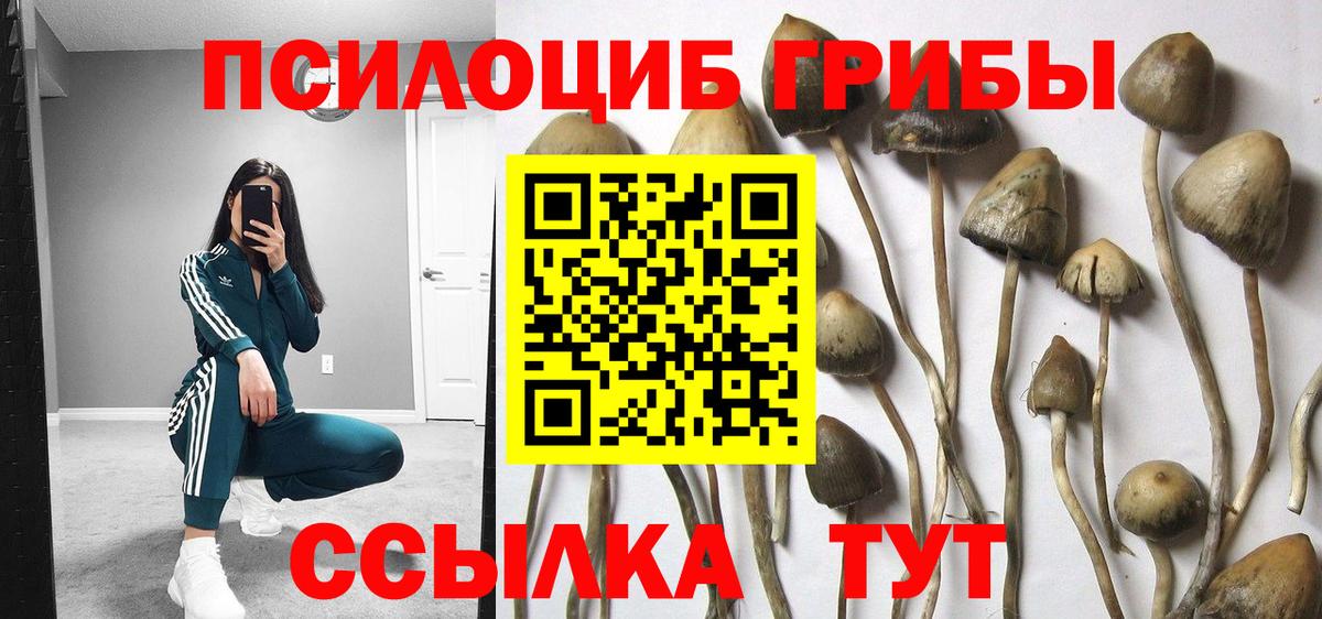 Галлюциногенные грибы прущие грибы Альметьевск