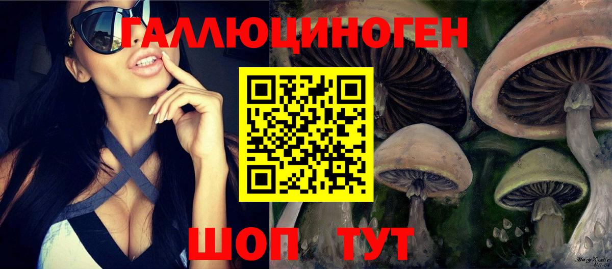 Псилоцибиновые грибы GOLDEN TEACHER  Вход с VPN  Псилоцибиновые грибы Psilocybe  где купить наркотик  Альметьевск 